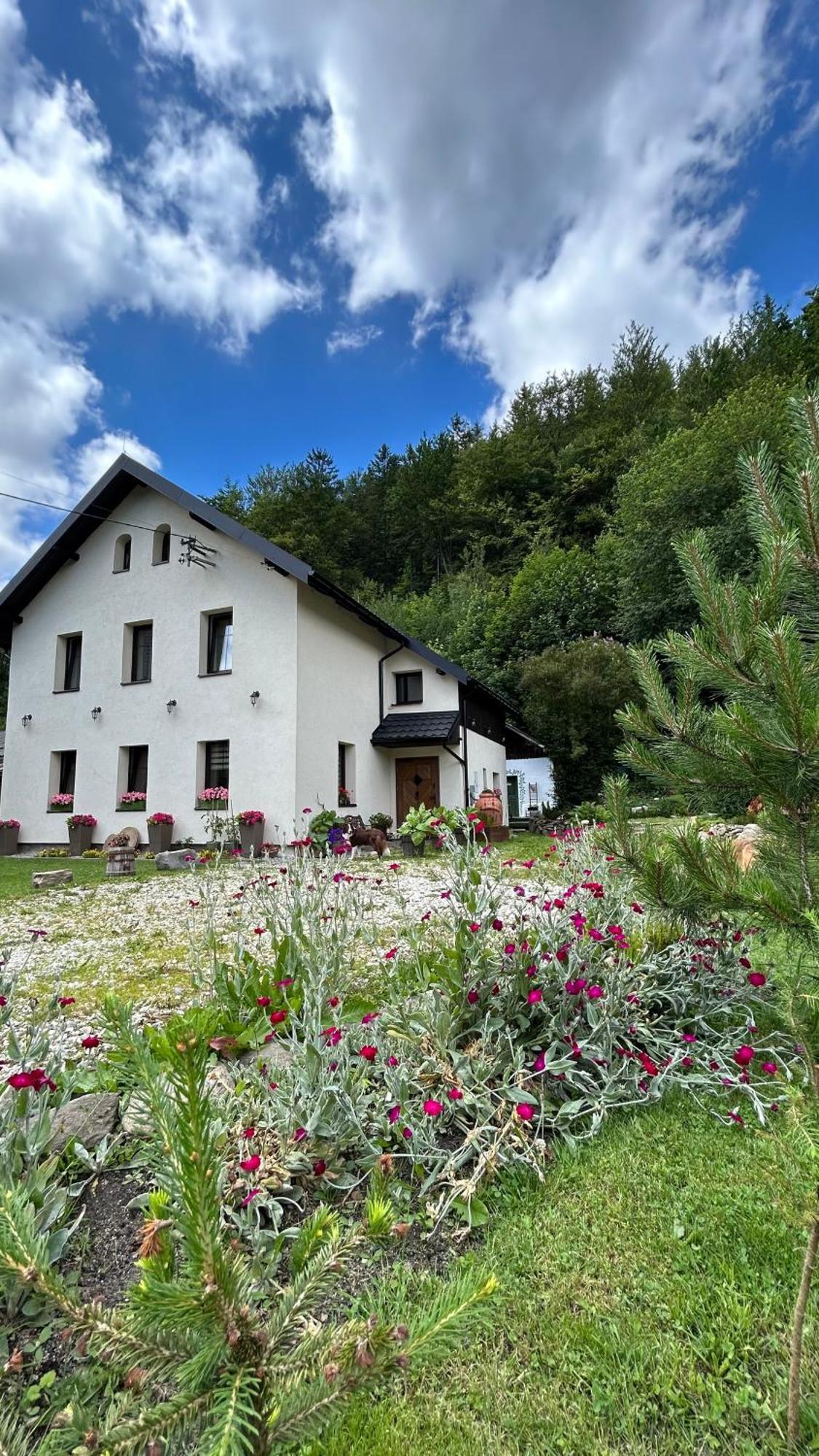 Apartamenty Goszowianka Stronie Śląskie Extérieur photo