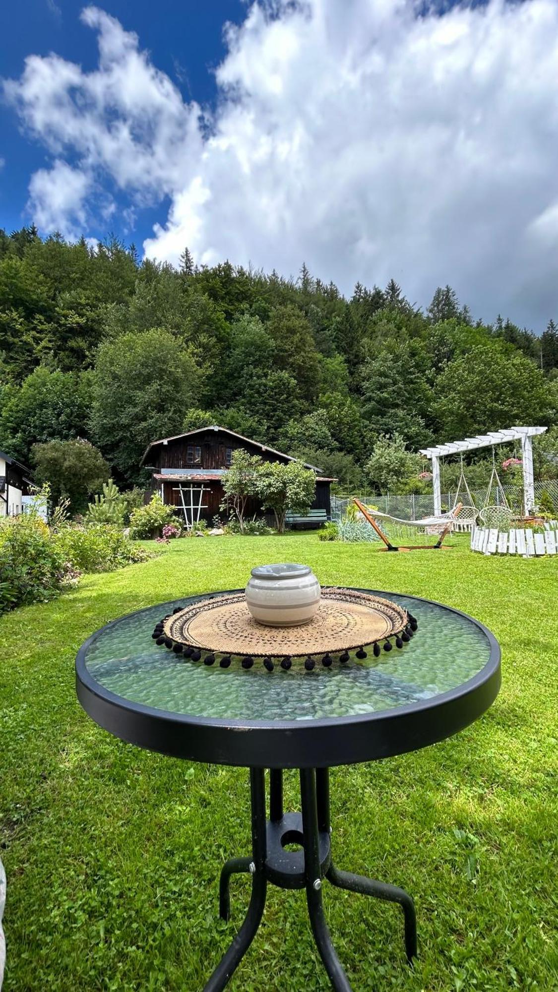 Apartamenty Goszowianka Stronie Śląskie Extérieur photo