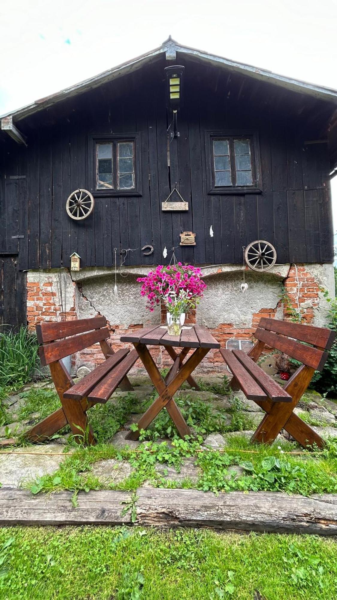 Apartamenty Goszowianka Stronie Śląskie Extérieur photo