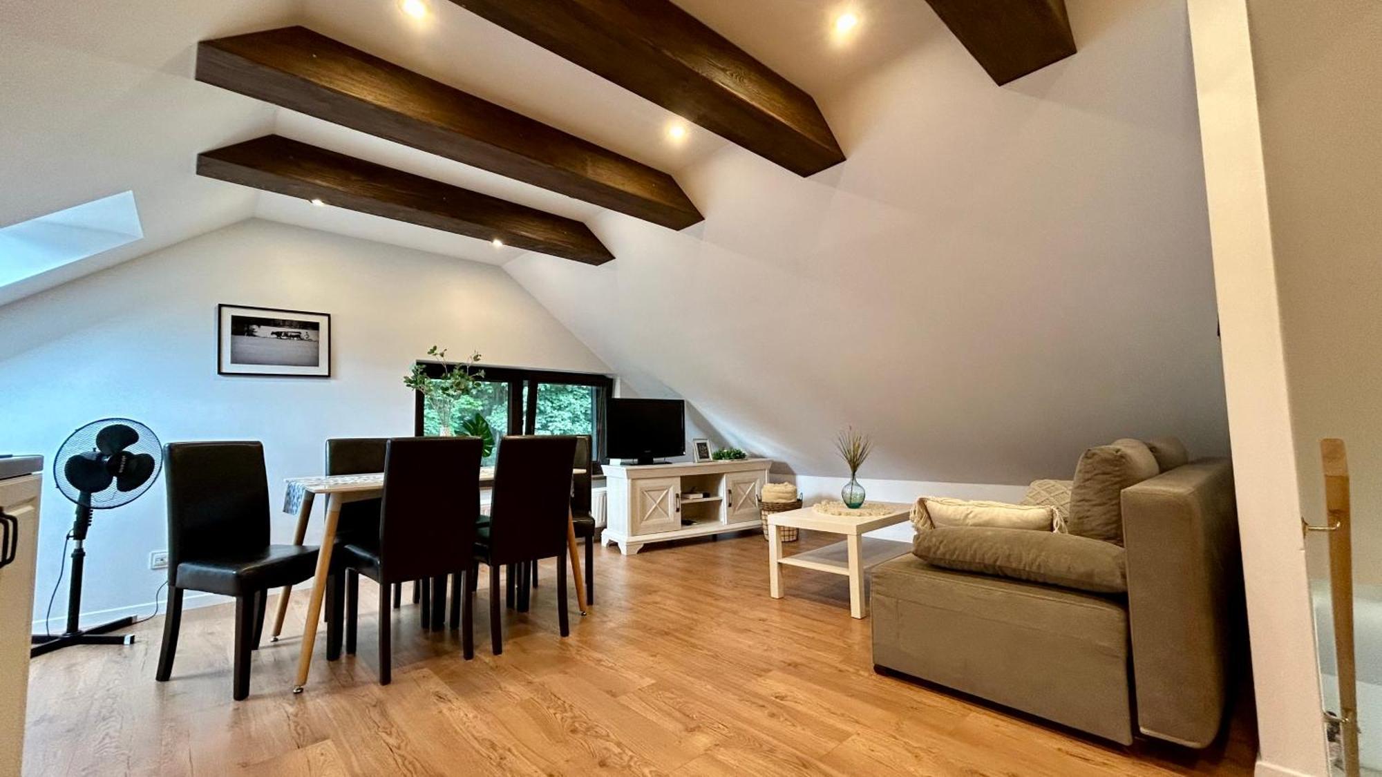 Apartamenty Goszowianka Stronie Śląskie Extérieur photo